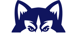 Bluewolf IT